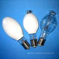 Self-Ballasted Mercury Lamp (ML-301)